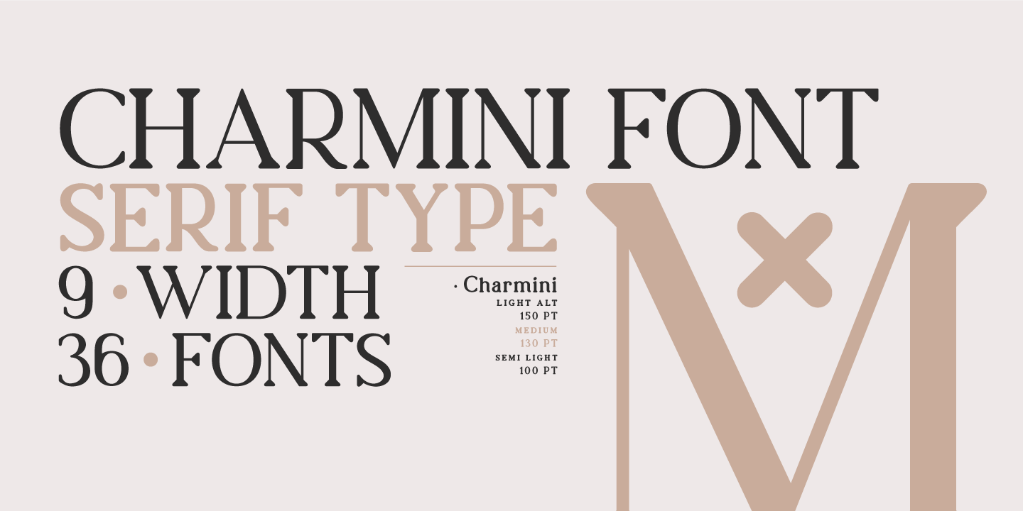 Przykład czcionki Charmini Light Italic